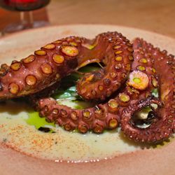 Bar Isabel - Half Octopus