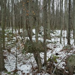 Ludlow Reservoir - Boulders and an old stonewall