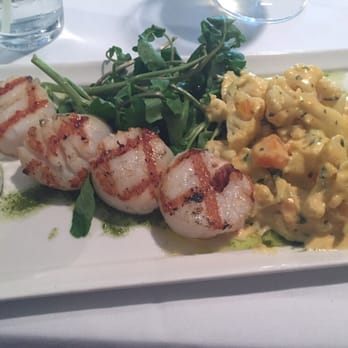 Fin Bistro - Scallops with cauliflower and squash "risotto" not really risotto just the sauce. - Seafood Near Me - Marco Island, Florida Fin Bistro - Scallops with cauliflower and squash "risotto" not really risotto just the sauce. - Seafood Near Me - Marco Island, Florida