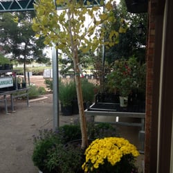Harmony Gardens