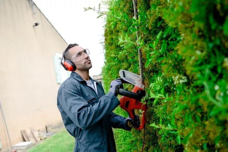 CV Tree Surgeons - tree service in Indianapolis, IN
