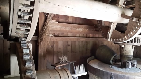 Black Forest Open Air Museum by null