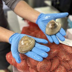 Cherrystone clams