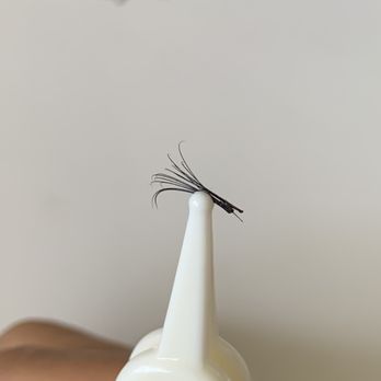 Lash Envy by Viva - Eyelash Service Near Me - Arcadia, California Lash Envy by Viva - Eyelash Service Near Me - Arcadia, California