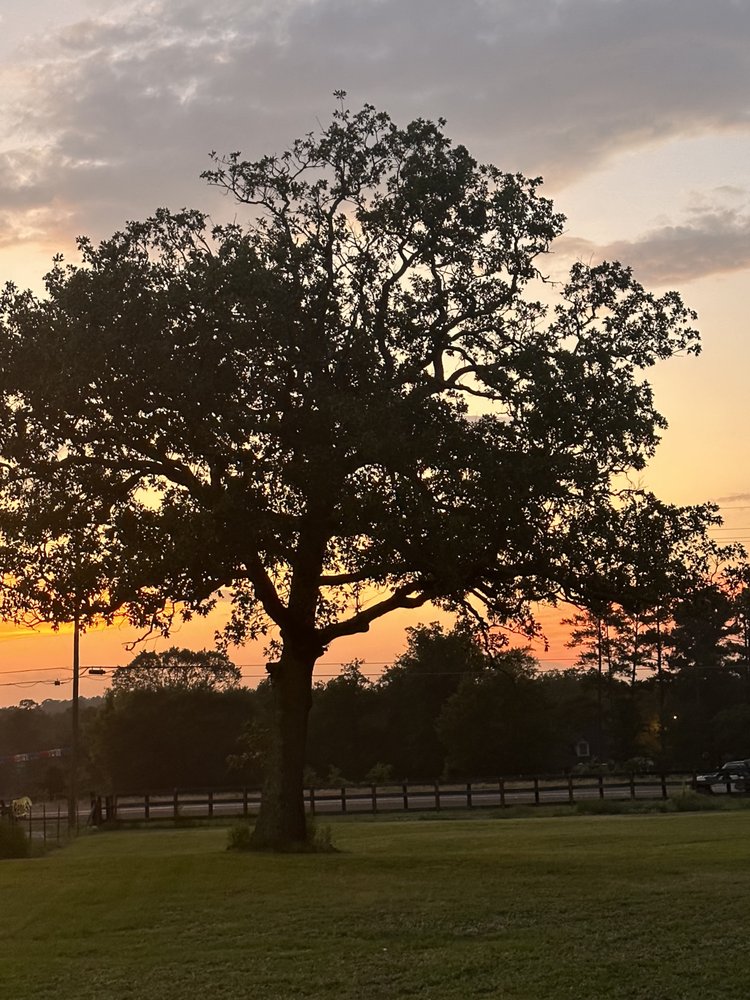 HUNTSVILLE RV PARK Updated October 2024 35 Photos 3166 State Hwy