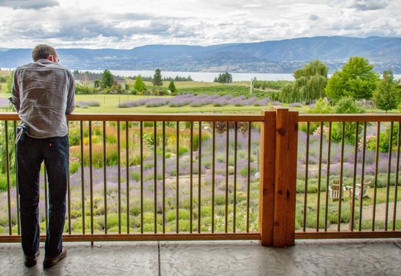 Okanagan Lavender & Herb Farm by null