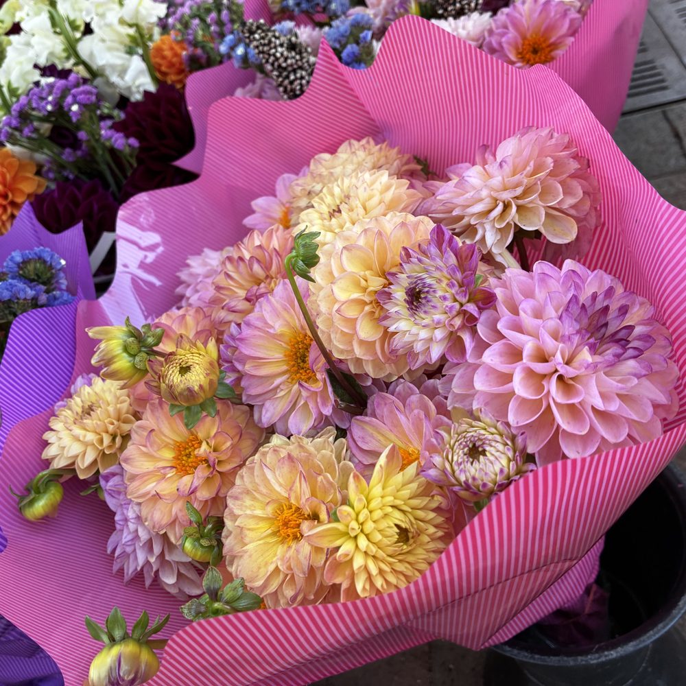 Dane County Farmers' Market - More beautiful dahlias. - Farmers Market Near Me - Madison, Wisconsin Dane County Farmers' Market - More beautiful dahlias. - Farmers Market Near Me - Madison, Wisconsin