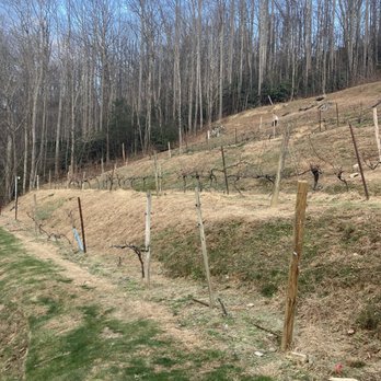 Grandfather Vineyard - Wineries Near Me - Banner Elk, North Carolina