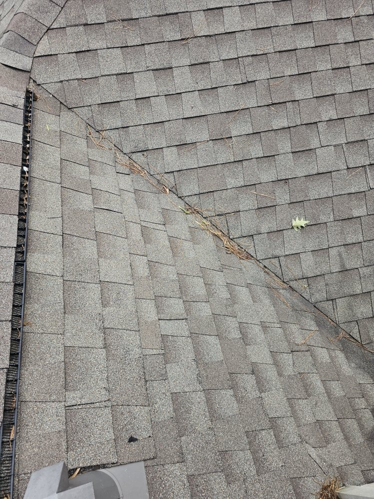 Slide of Orion's Rain