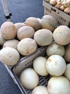 Lake City Farmers Market by null