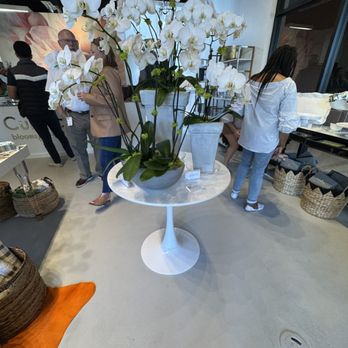 Cultivate & Bloom - Florists Near Me - San Antonio, Texas Cultivate & Bloom - Florists Near Me - San Antonio, Texas