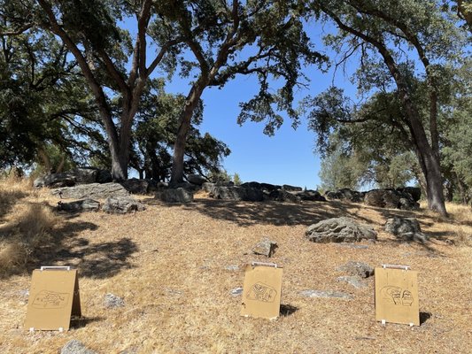 Maidu Museum & Historic Site by null