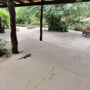 Secrets Akumal Riviera Maya - Walkway - Hotels Near Me - Tulum, ROO