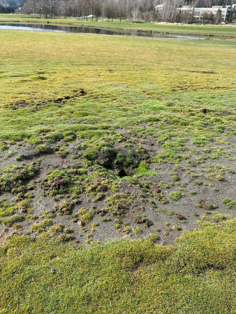 Amazing Willows Run Golf Course Redmond Wa Gallery