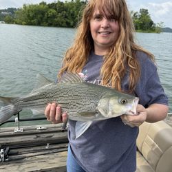 Jay's Striper Guide Service - Stripper Fishing with Jay