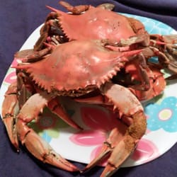 Cameron's Seafood - Soooooooooooooooooooooooooooooooooooooooooooooooooo delicious...