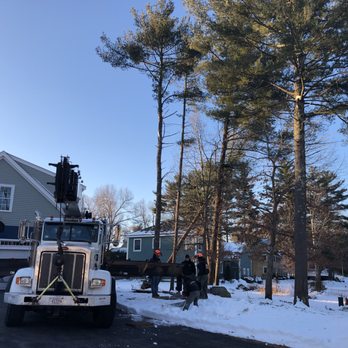 Cleds Tree Services - Tree Services Near Me - Halifax, Massachusetts