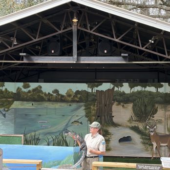 Weeki Wachee Springs - Wildlife show - Amusement Parks Near Me - Spring Hill, Florida