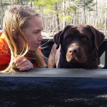 AlphaDog-Dog Training - Katie and Kona were having a staring contest, Katie won. - Pet Training Near Me - Oxford, Massachusetts AlphaDog-Dog Training - Katie and Kona were having a staring contest, Katie won. - Pet Training Near Me - Oxford, Massachusetts