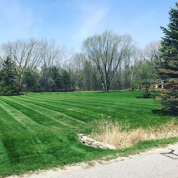 Strictly Green - a freshly mowed lawn in a residential area - Tree Services Near Me Strictly Green - a freshly mowed lawn in a residential area - Tree Services Near Me