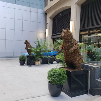 Madison Avenue Florist - Florists Near Me - New York, New York Madison Avenue Florist - Florists Near Me - New York, New York