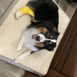 Ernestine-so happy after getting her very messed up toenail repaired. Ernestine-so happy after getting her very messed up toenail repaired.