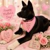 Nohl Ranch Animal Hospital gift card