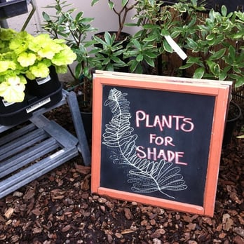 Down To Earth - Creative employee-made signs - Nurseries & Gardening Near Me - Eugene, Oregon
