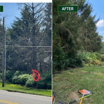 Branching Out - Before and after two tree removals near an Evansville, Indiana intersection. - Tree Services Near Me - Newburgh, Indiana Branching Out - Before and after two tree removals near an Evansville, Indiana intersection. - Tree Services Near Me - Newburgh, Indiana