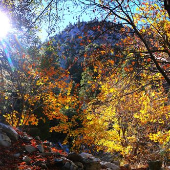 Cucamonga Peak - Hiking Near Me - Mount Baldy, California Cucamonga Peak - Hiking Near Me - Mount Baldy, California
