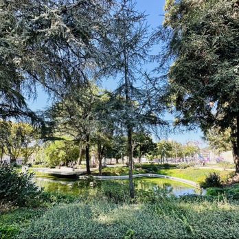 João Chagas Garden - Lake and trees - Parks Near Me - Porto, 13