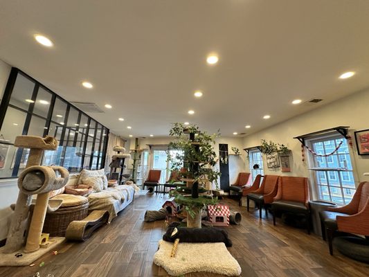 Catty Corner Cafe by null