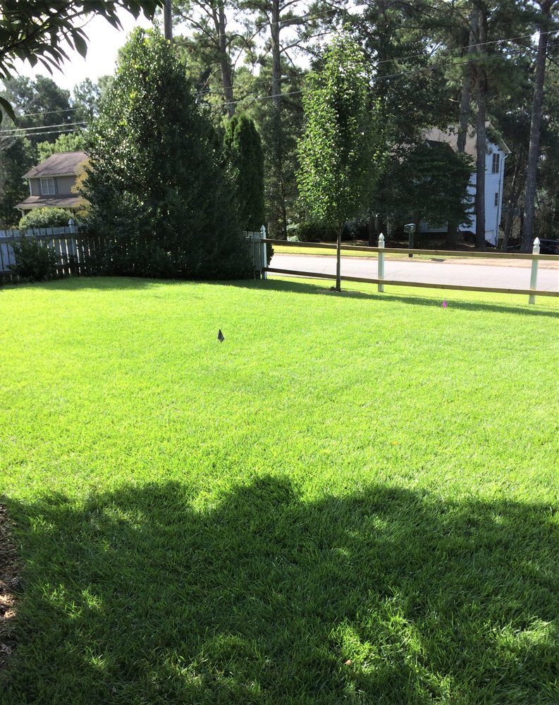 SUPERSOD Updated August 2024 10 Photos & 20 Reviews 5058 Canton