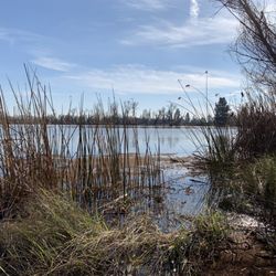Mather Field Lake Regional Park