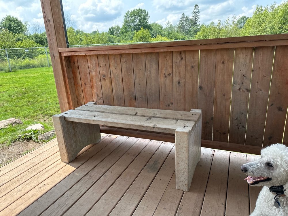 Off Leash East Hants