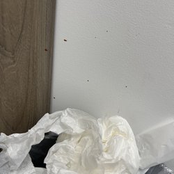 Get Well Urgent Care - Overflowing trash and blood splattered
