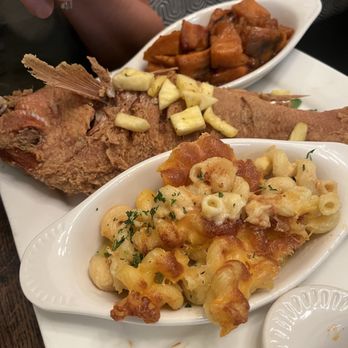 Park 54 Restaurant & Lounge - Red snapper, mac and cheese, sweet potatoes - Lounges Near Me - Boston, Massachusetts Park 54 Restaurant & Lounge - Red snapper, mac and cheese, sweet potatoes - Lounges Near Me - Boston, Massachusetts