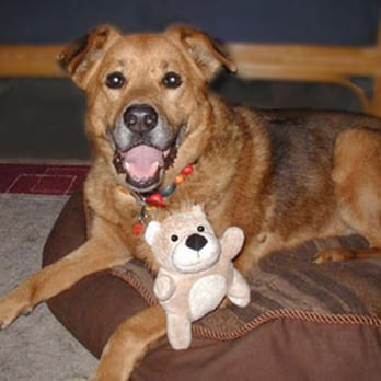 1. Pampered Pets