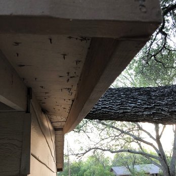 Good Guys Tree Service - Tree Services Near Me - Austin, Texas Good Guys Tree Service - Tree Services Near Me - Austin, Texas