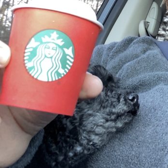 Starbucks - a person holding a cup of coffee - Coffee & Tea Near Me - Pelham, Alabama Starbucks - a person holding a cup of coffee - Coffee & Tea Near Me - Pelham, Alabama