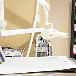 Village Animal Hospital - Digital Dental X-Ray for fast and comprehensive images