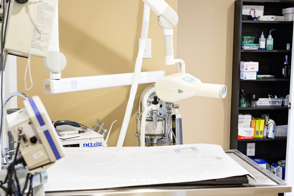 VILLAGE ANIMAL HOSPITAL Updated October 2024 20 Photos 1610