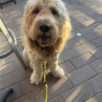 Hundred Mile Brewing - New favorite Sunday patio ! - Brewpubs Near Me - Tempe, Arizona