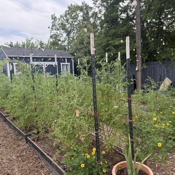 Osteria Il Muro - Garden out back - Italian Near Me - Denton, Texas