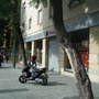 Photo of Fiestamanía
