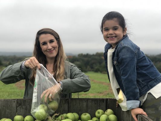 Apple Hill Farm by null