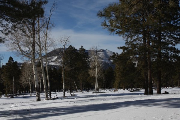 Arizona Nordic Village by null