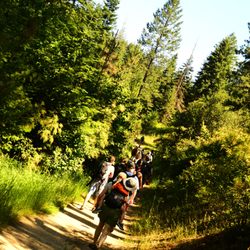 Stevens Creek Trail