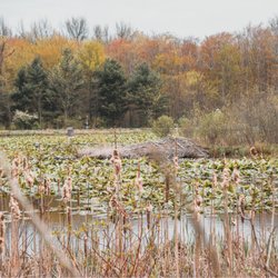 North Chagrin Nature Center-Cleveland Metroparks