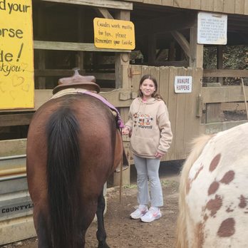 Davy Crockett Riding Stables - Horseback Riding Near Me - Townsend, Tennessee Davy Crockett Riding Stables - Horseback Riding Near Me - Townsend, Tennessee